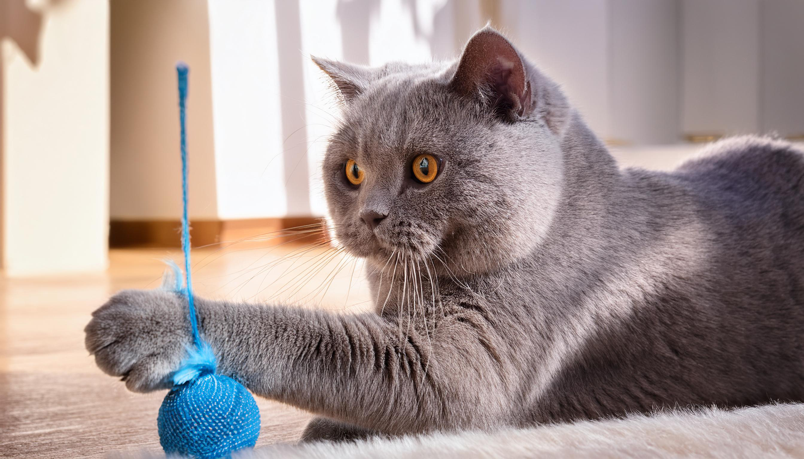 Playtime and physical stimulation