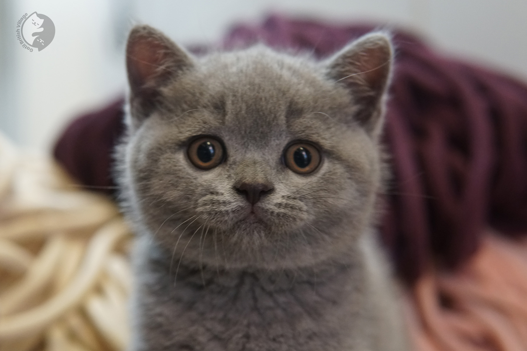 Perfect posture for the camera