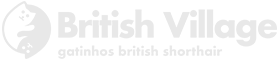 British Village Logo